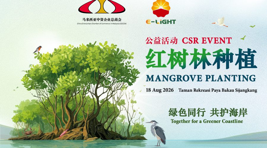 Mangrove_poster1Web