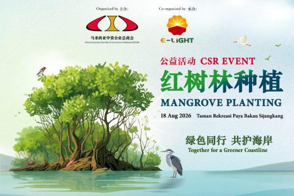 Mangrove_poster1Web